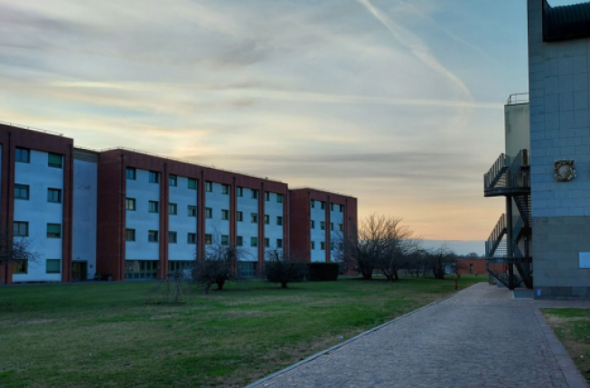 Collegamento a MAPS Department